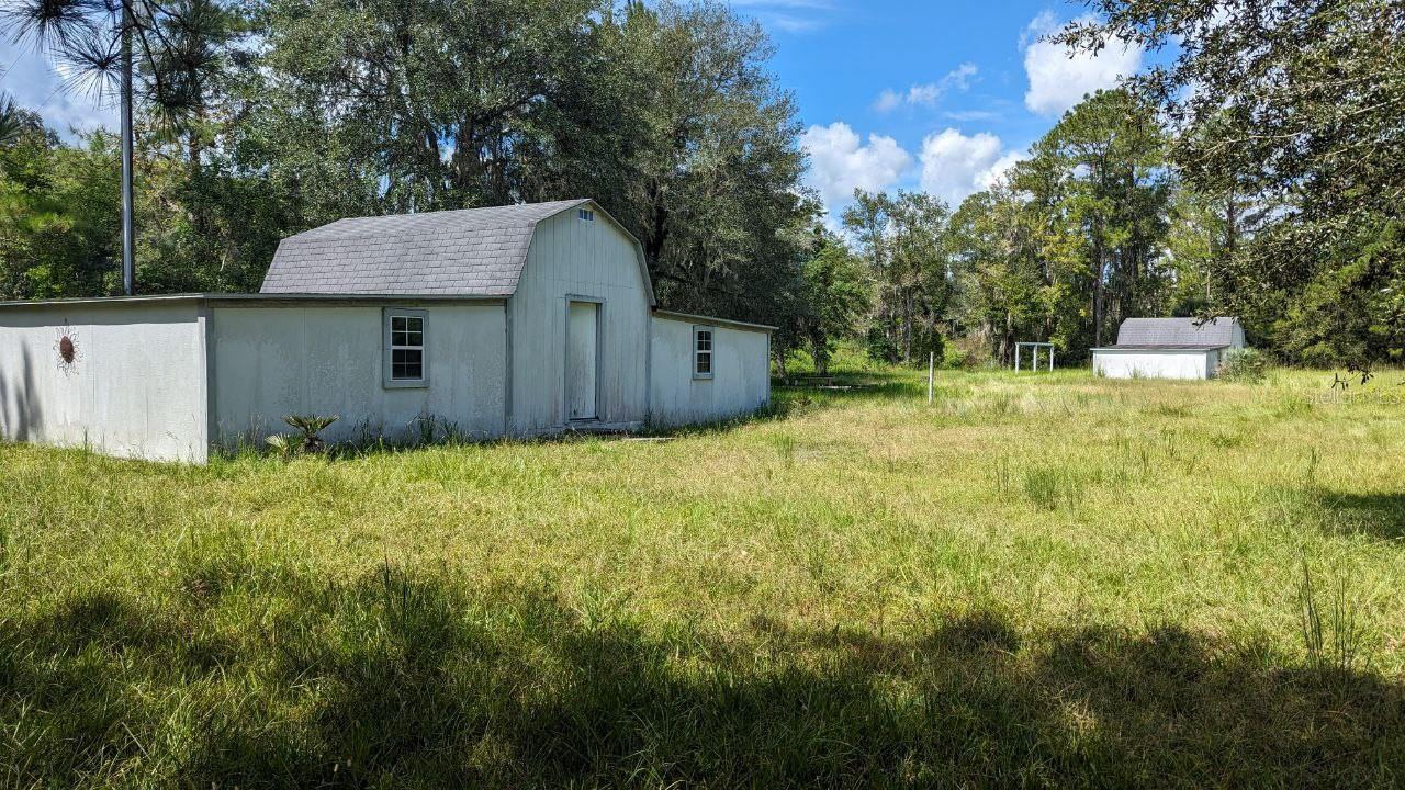 205 NW Highway 441, Micanopy, FL 32667 Land for Sale