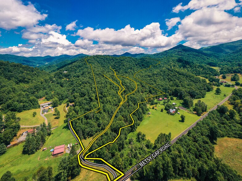 Tbd Betsys Gap Rd, Clyde, NC for sale - Building Photo - Image 1 of 1