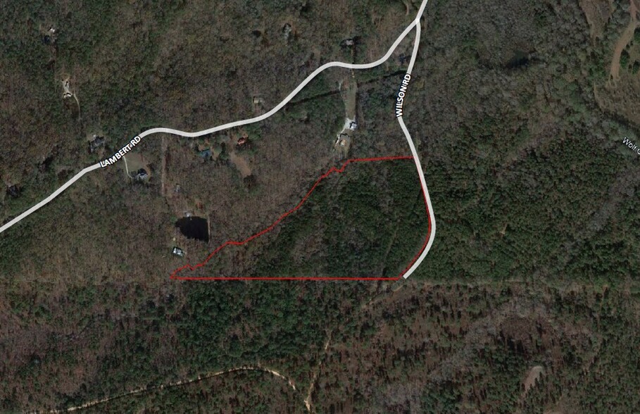 Wilson Rd, Whitesburg, GA for sale - Primary Photo - Image 1 of 2