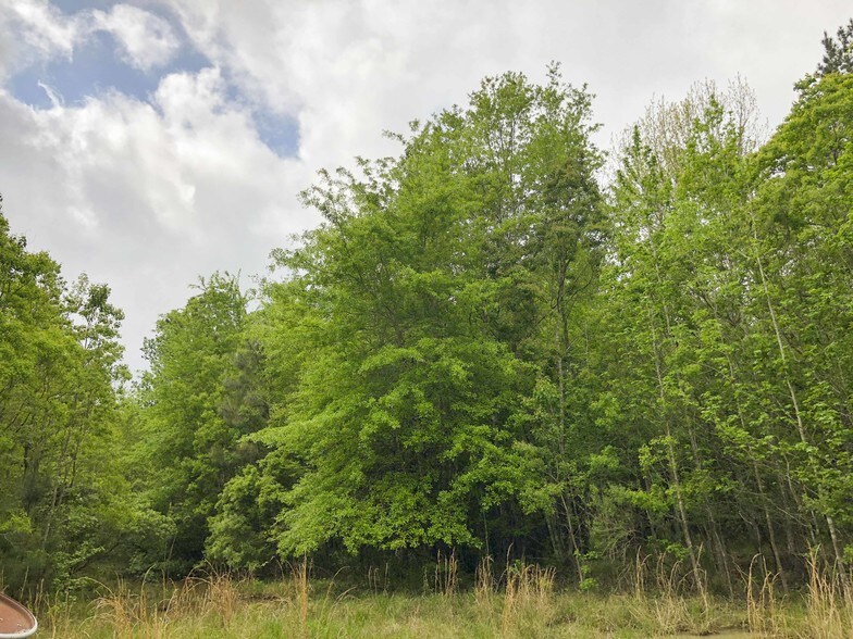 36168 Old Sour Lake Rd, Batson, TX for sale - Other - Image 1 of 1