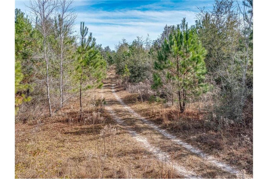 344 Roland Harvey Rd, Crawfordville, FL for sale - Building Photo - Image 3 of 3