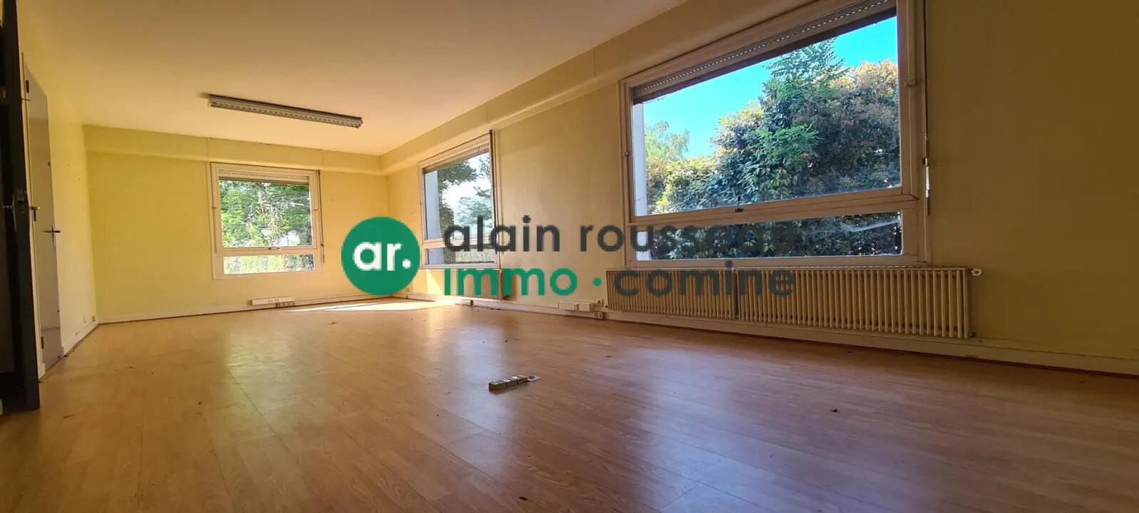 Flex in Sainte-Gemmes-sur-Loire for sale Interior Photo- Image 1 of 5