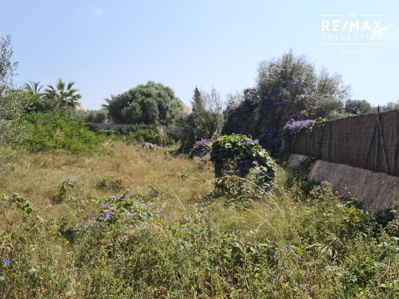 Land in Santanyí, Islas Baleares for sale - Building Photo - Image 3 of 4