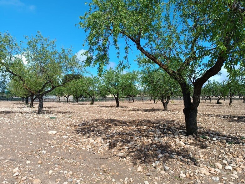 Land in MURCIA for sale - Building Photo - Image 2 of 7