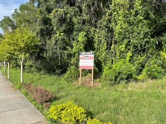 More details for Buena Vista Drive, Brooksville, FL - Land for Sale