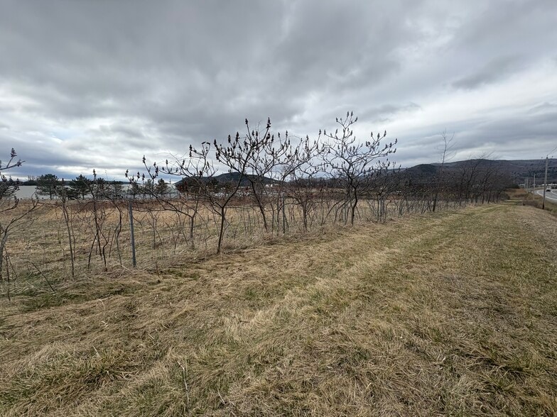 L6.111 L6.111 NYS RTE 74 Rt, Ticonderoga, NY for sale - Aerial - Image 2 of 3
