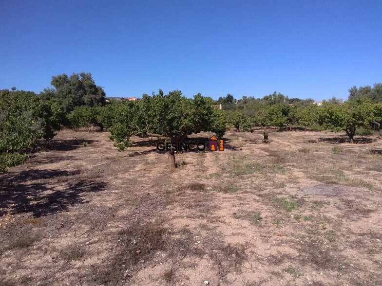 Land in Ontinyent for sale - Building Photo - Image 2 of 3