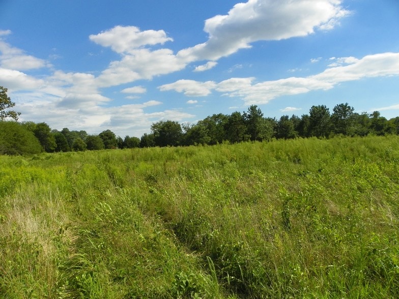 John J Williams Hwy, Millsboro, DE for sale - Other - Image 3 of 6