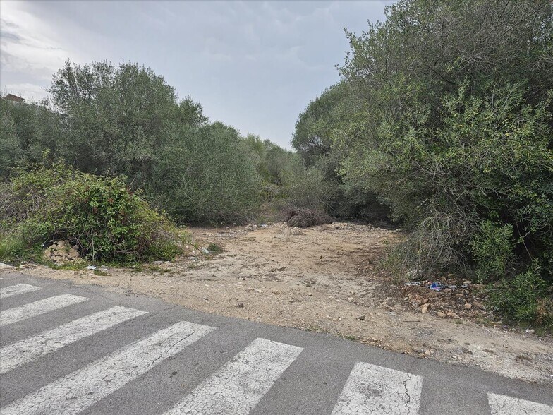 Pla?A Poligono 37, 56, Vinaròs, Castellón for sale - Building Photo - Image 3 of 13