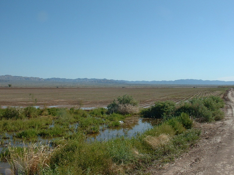 Hwy 111, Niland, CA for sale - Building Photo - Image 3 of 9