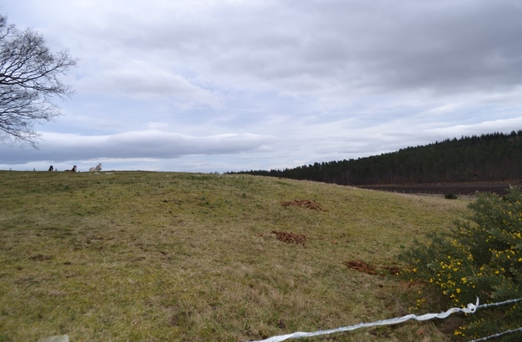 Lochs Farm, Garmouth for sale Primary Photo- Image 1 of 2