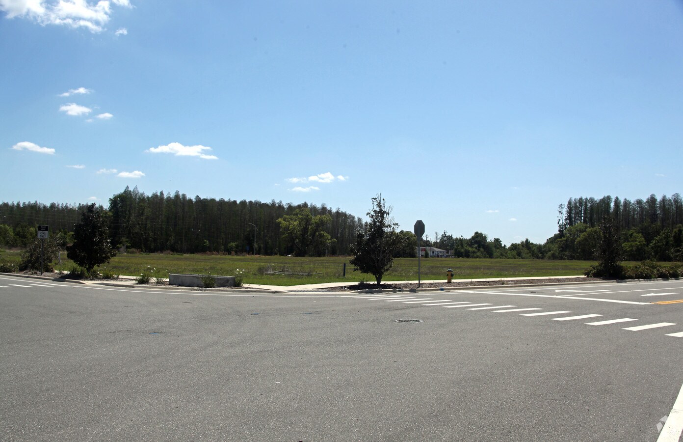 21356 Walmart Way, Lutz, FL 33549