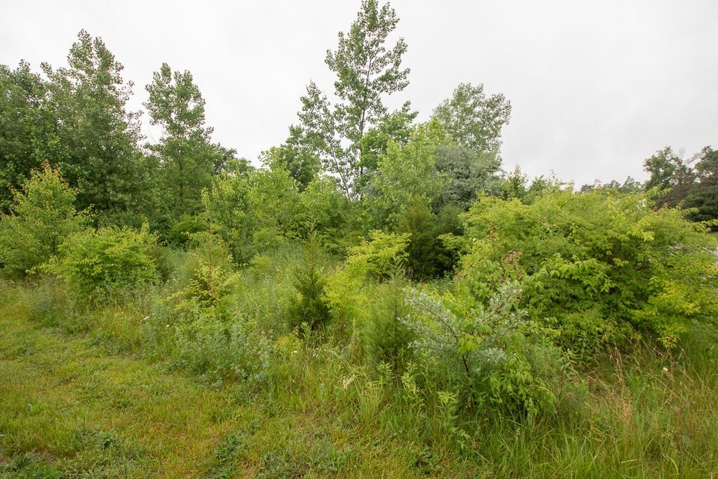 25 Commercial Way, Springboro, OH 45066 Land for Sale