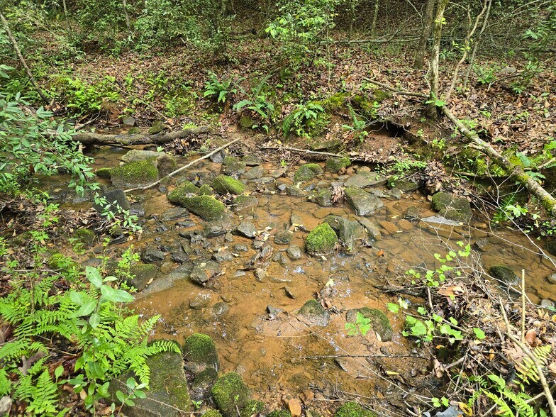 Davis Lake Rd, Thomaston, GA for sale - Building Photo - Image 3 of 34