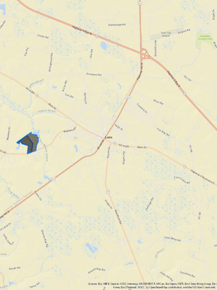 750 Highway 45, Loris, SC 29569 111 LOT SUBDIVISION 10K SQ.FT. LOT