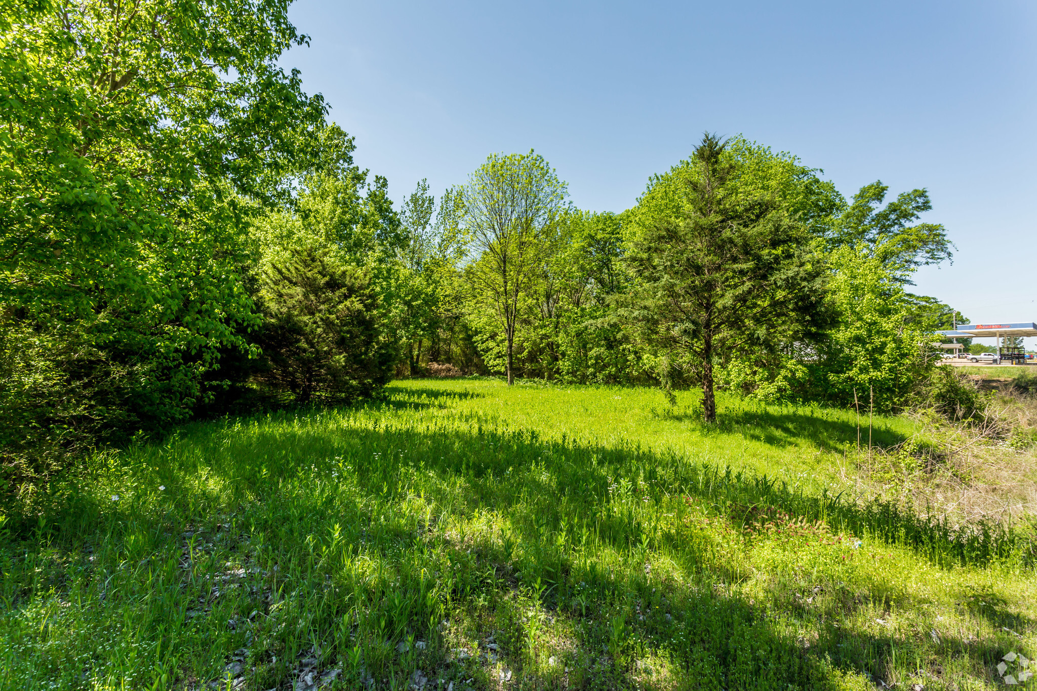 2561 Eason Blvd, Tupelo, MS for sale Primary Photo- Image 1 of 2