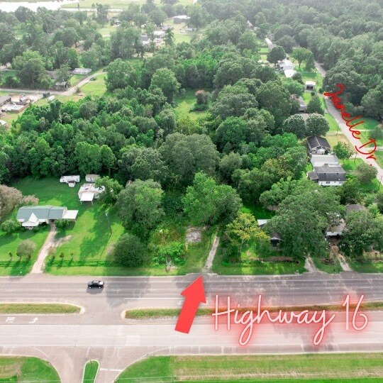 LA HWY 16, Denham Springs, LA for sale Primary Photo- Image 1 of 1