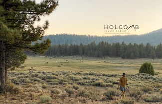 More details for 34300 Holcomb Valley Rd, Fawnskin, CA - Land for Sale