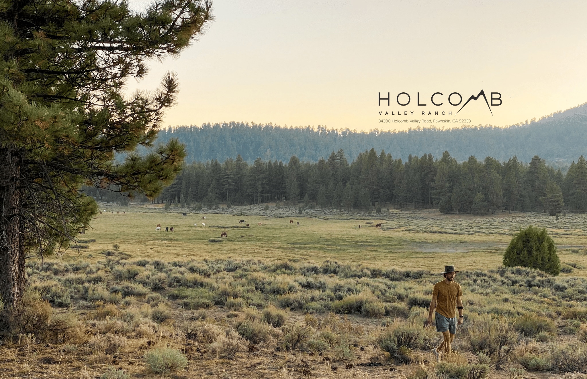 34300 Holcomb Valley Rd, Fawnskin, CA for sale Primary Photo- Image 1 of 31