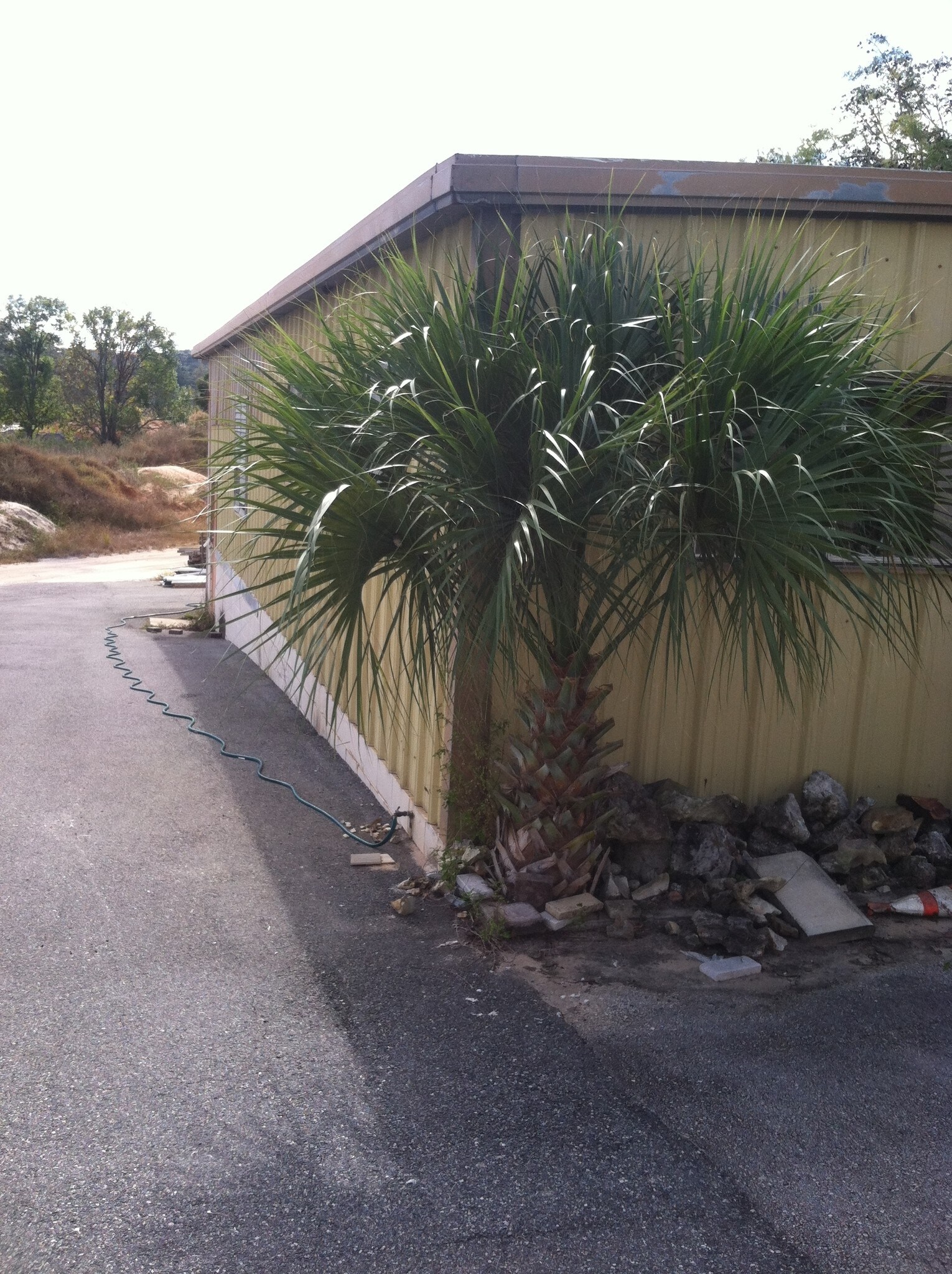 1033 Hooks St, Clermont, FL for sale Building Photo- Image 1 of 1