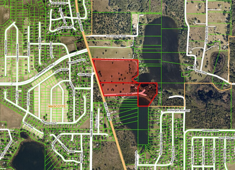 4215 Covington, Mascotte, FL for sale - Primary Photo - Image 1 of 1