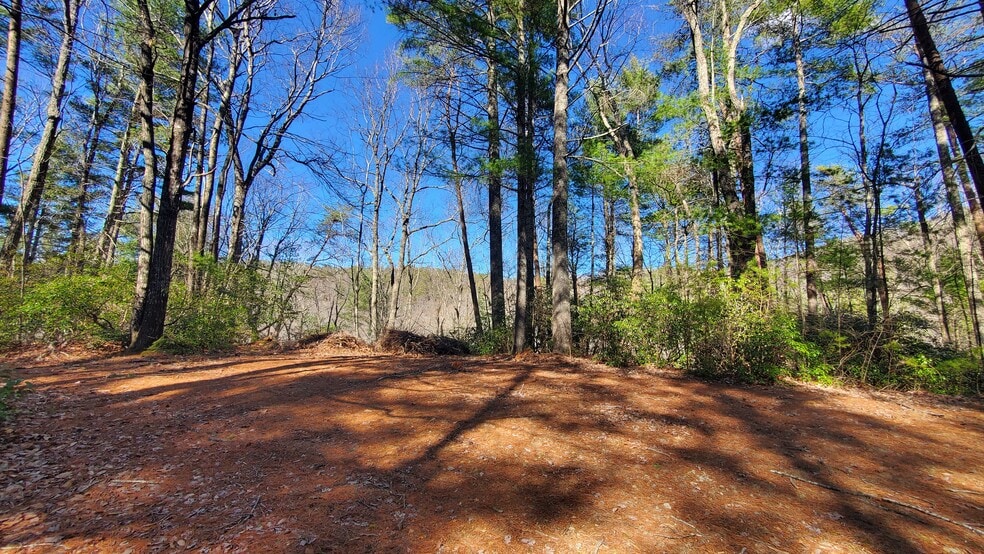 Mountain Cove Estates Rd, Cherry Log, GA for sale - Building Photo - Image 1 of 41
