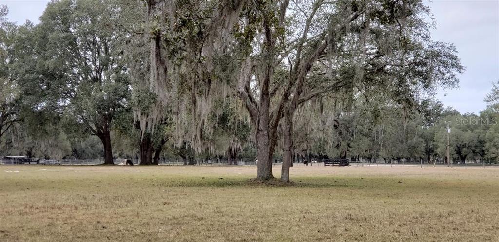 CR 674, Bushnell, FL for sale Other- Image 1 of 1