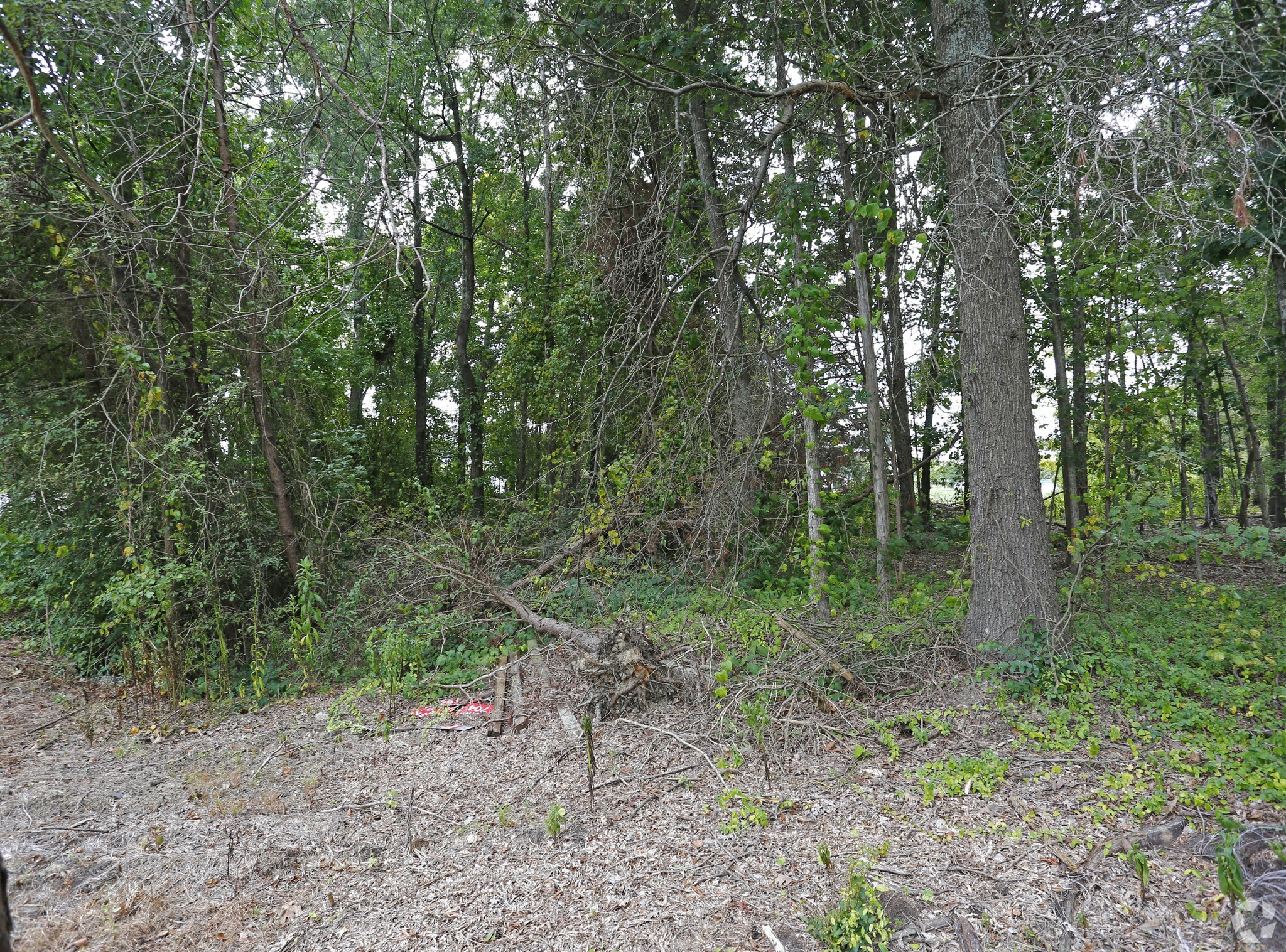 00 Holiday Ln, Cornelius, NC for sale Building Photo- Image 1 of 1