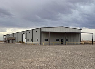 More details for 491 Blackbird Dr, Pecos, TX - Industrial for Sale