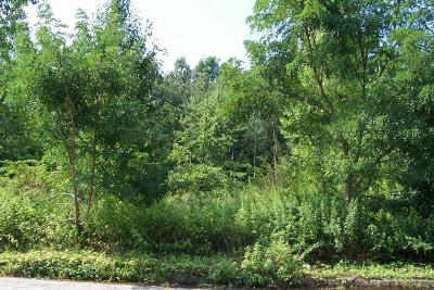 1 Barnet Rd, Montville Township, NJ for sale - Primary Photo - Image 1 of 10