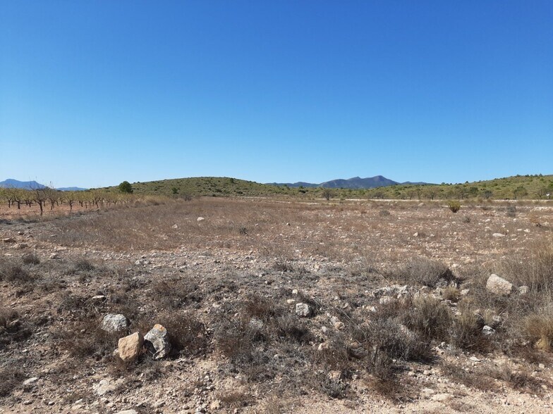 Land in PINOSO for sale - Building Photo - Image 2 of 4