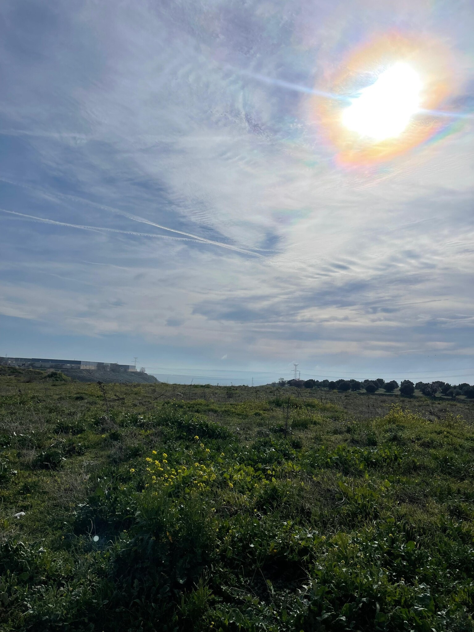 Calle Carretera CM-4010, Seseña Nuevo, Toledo for sale Other- Image 1 of 5