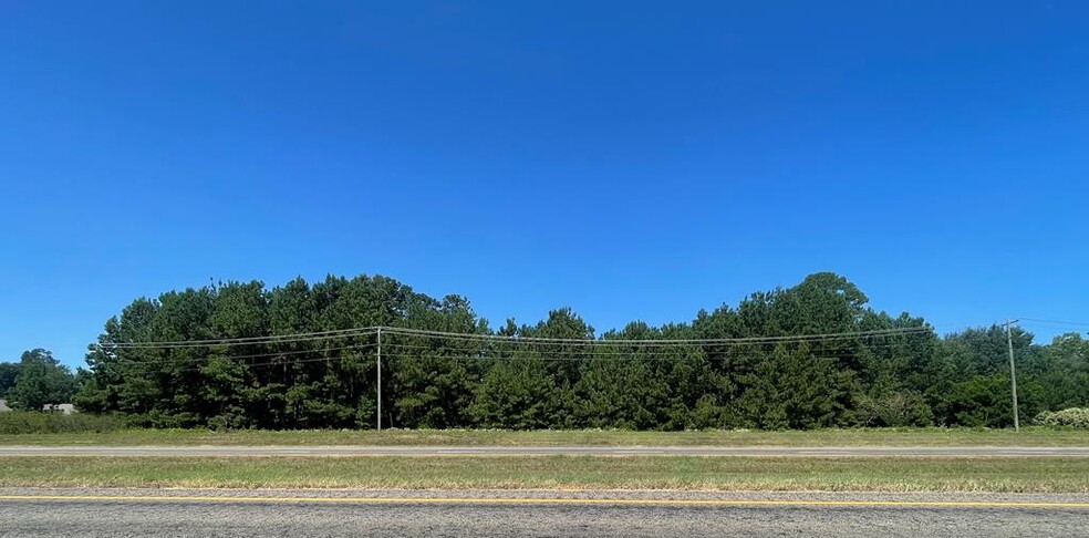 000 TBD U.S. 287, Grapeland, TX for sale - Primary Photo - Image 1 of 6