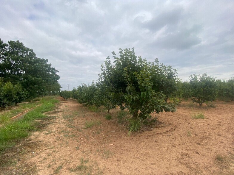 Land in València for sale - Building Photo - Image 1 of 10