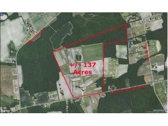 E Effingham Hwy, Effingham, SC for sale - Primary Photo - Image 1 of 1