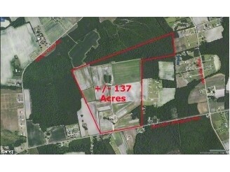 E Effingham Hwy, Effingham, SC for sale Primary Photo- Image 1 of 1