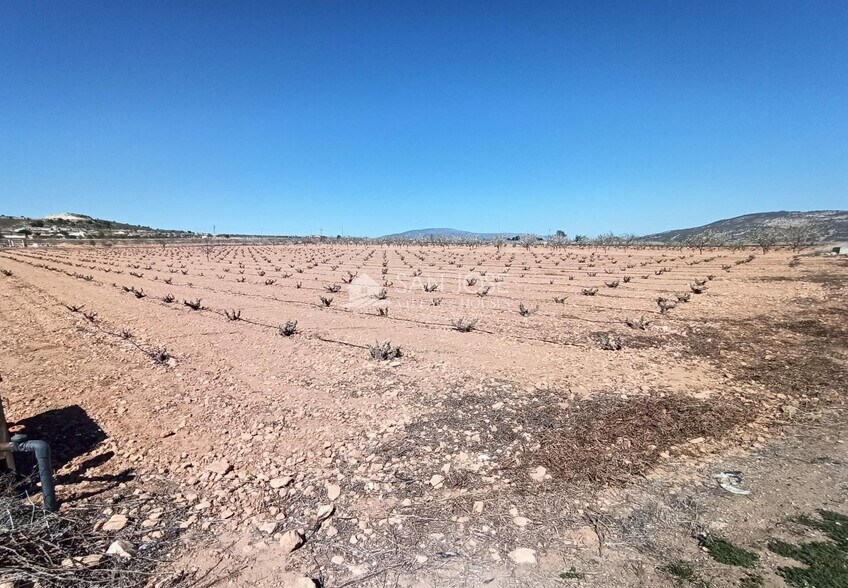 Land in PINOSO for sale - Building Photo - Image 2 of 3