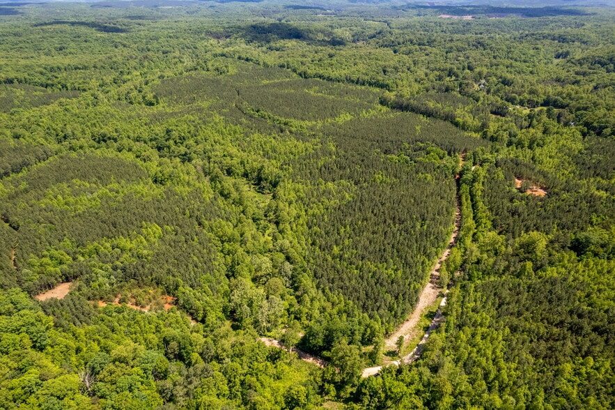 tbd Green Creek Rd, Schuyler, VA for sale - Building Photo - Image 2 of 27