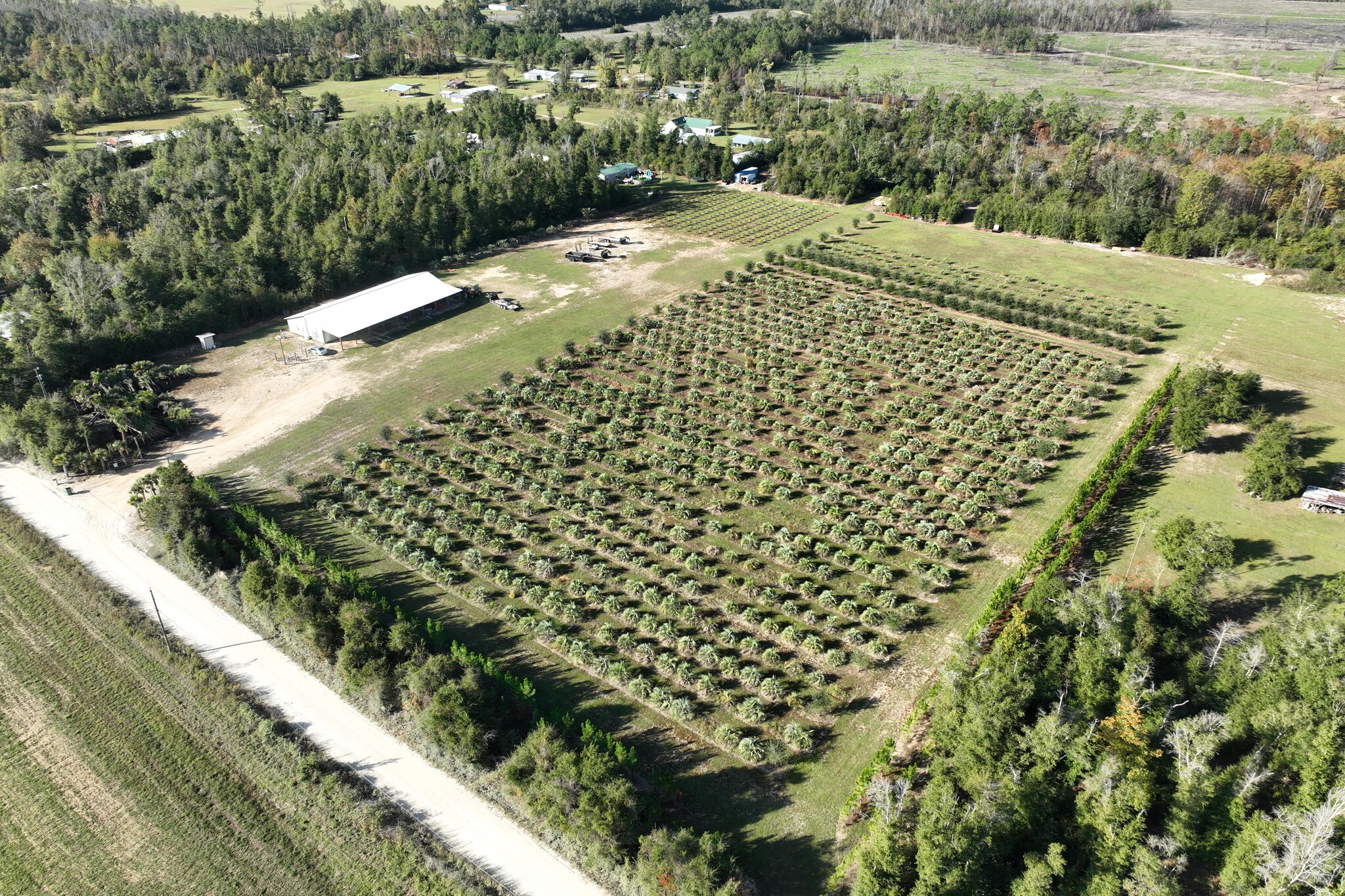 1775 Delta Lane, Marianna, Fl 32448 - Panhandle Palms Farm 