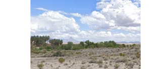 More details for 4825 Warm Springs Rd, Moapa, NV - Land for Sale