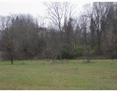 N Ann Arbor St, Saline, MI for sale Primary Photo- Image 1 of 1