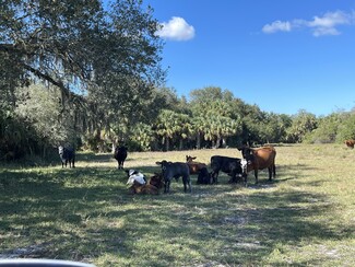 More details for Roberts Ranch Road, Clewiston, FL - Land for Sale