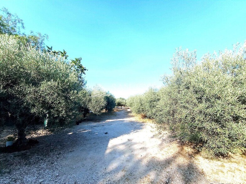 Land in La Romana for sale - Building Photo - Image 3 of 20