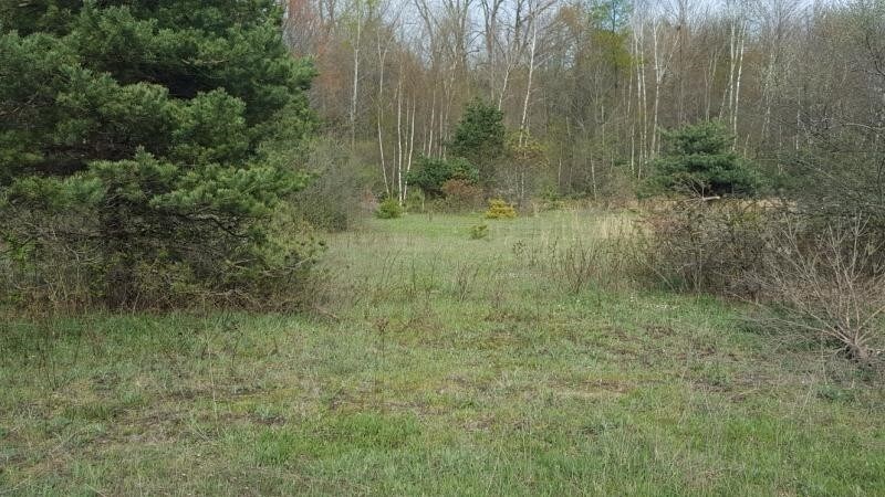 1597 Willow Creek Dr, Caro, MI for sale Primary Photo- Image 1 of 1