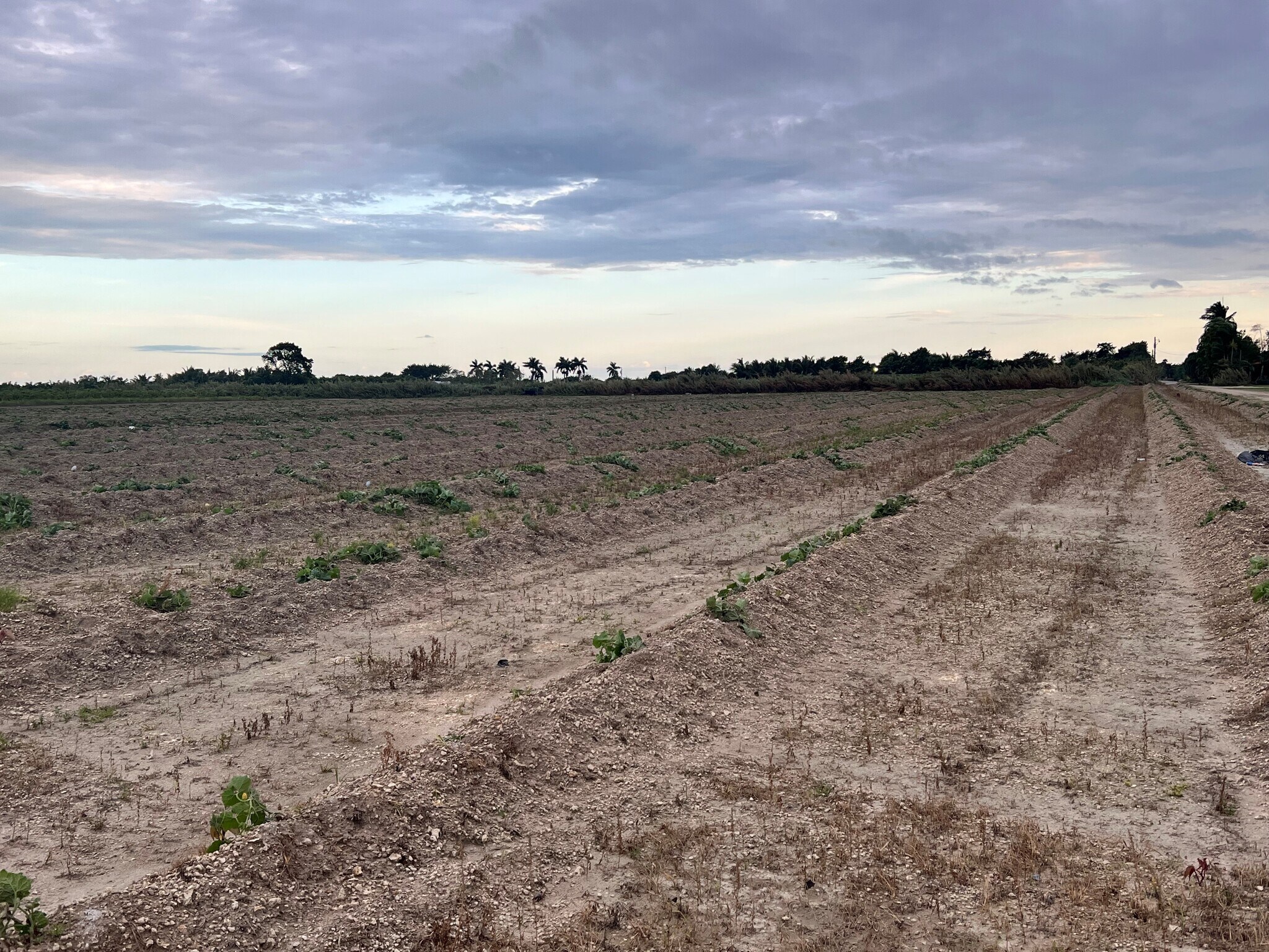 SW 152 ST & 169 AV, Miami, FL for sale Primary Photo- Image 1 of 1