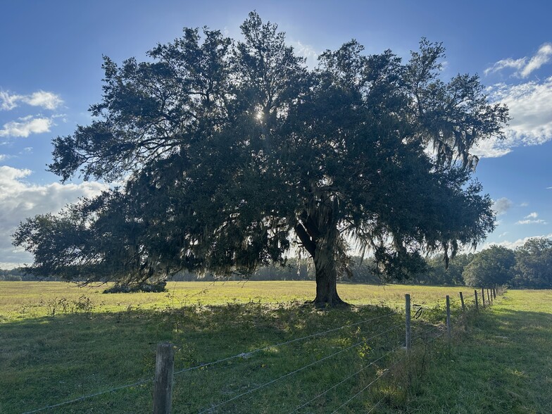 1010 215th Ave, Morriston, FL for sale - Building Photo - Image 3 of 5