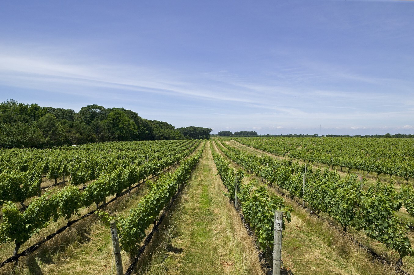 34995 Main Rd, Cutchogue, NY 11935