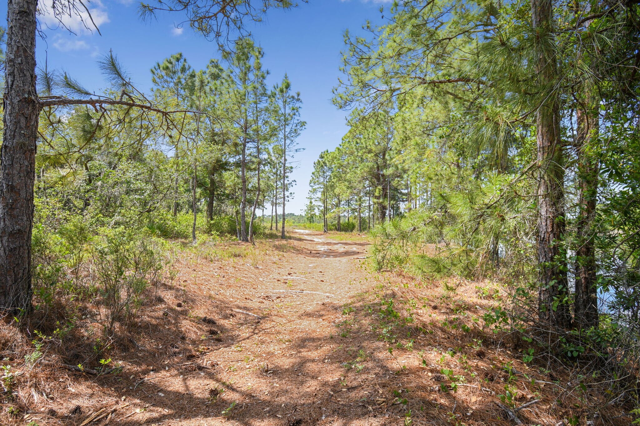 Pebble Creek Ct, Clermont, FL 34714 Land for Sale