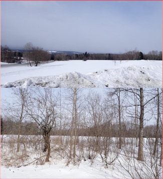 More details for 2500 VT-66, Randolph Center, VT - Land for Sale