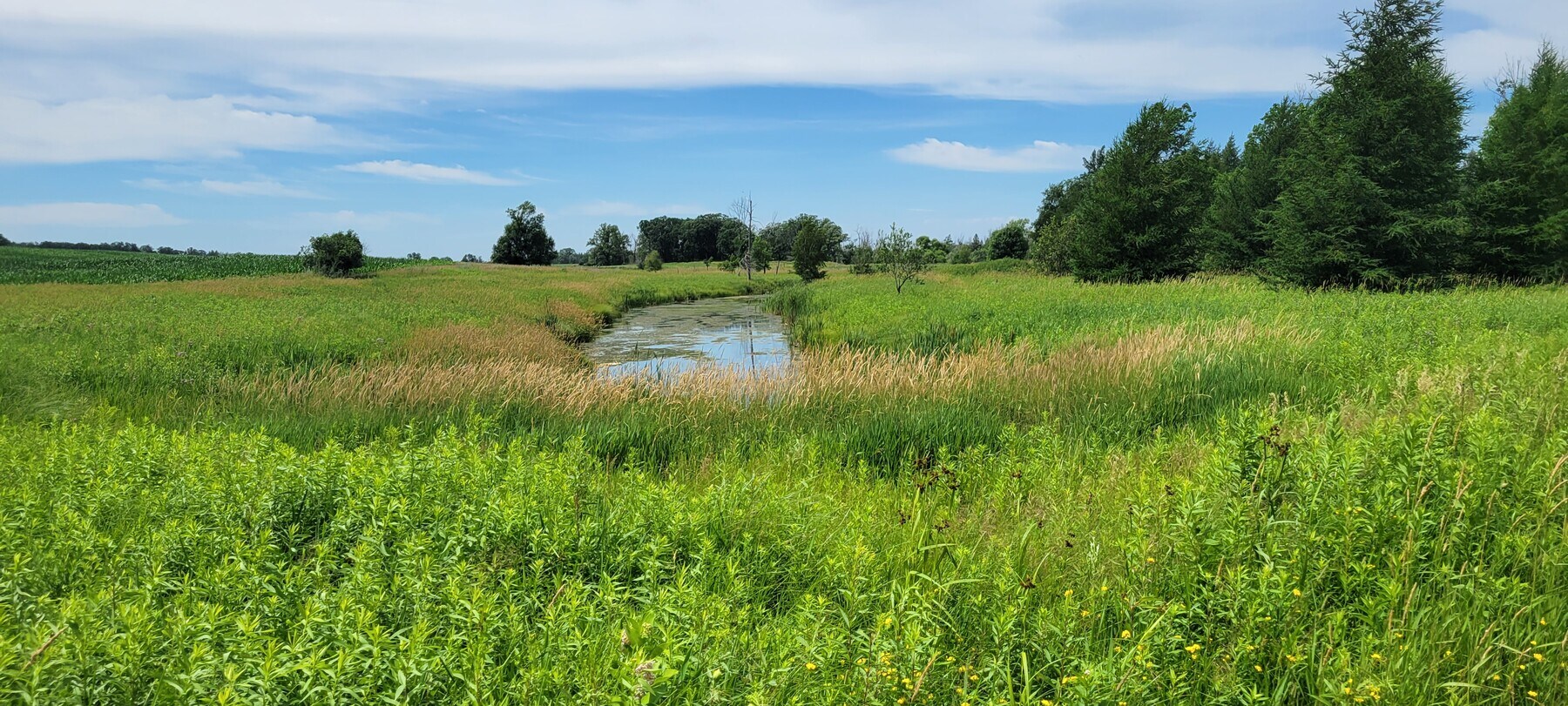 25366 520th Ave, Henning, MN 56551